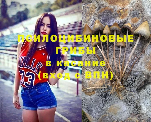 спайс Аркадак