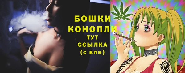 Альфа ПВП Балабаново