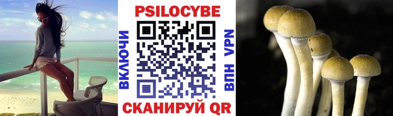 Псилоцибиновые грибы GOLDEN TEACHER  Бирск 